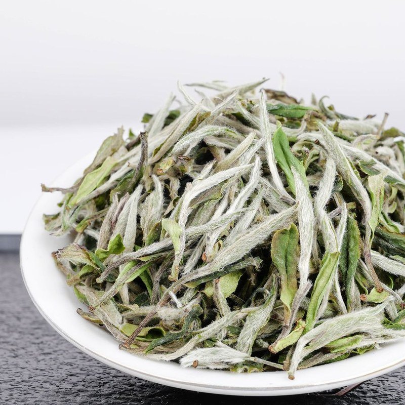 传承巧克力2015年